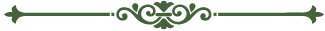 divider1